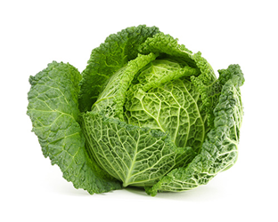 savoy cabbage