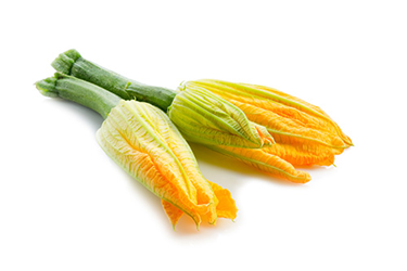 squash blossoms