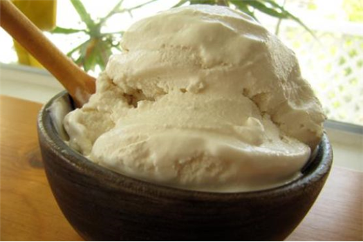 Very Vanilla Egg-Free Ice Cream