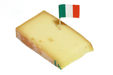 fontina cheese