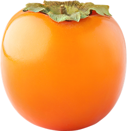 persimmon