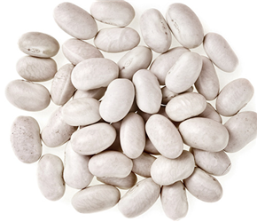 canned white beans