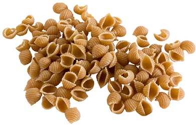 whole wheat pasta shells