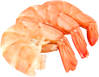 raw shrimp