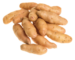 fingerling potato