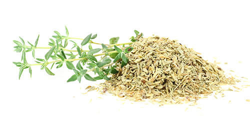 ground thyme