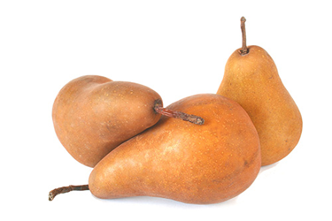 bosc pear