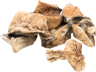 dried porcini mushrooms