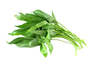 water spinach