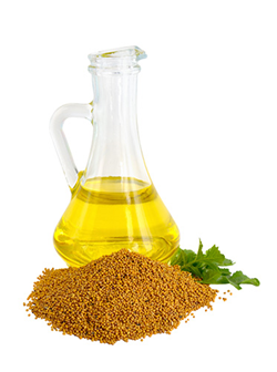 mustard oil