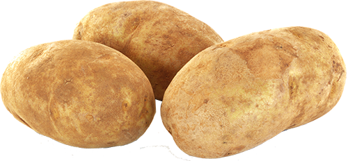 russet potato