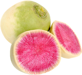 watermelon radish