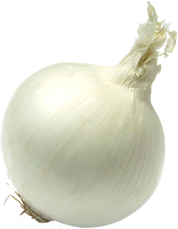 white onion