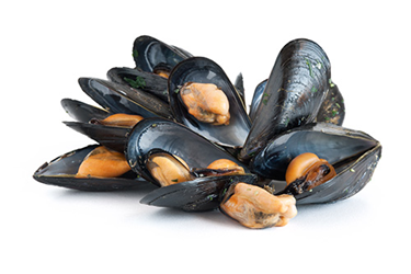 mussels