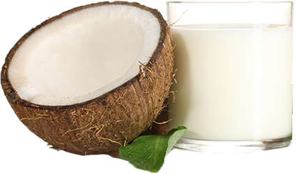 coconut milk