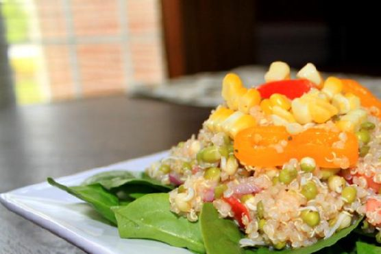 Mung Bean Sprout and Quinoa Salad