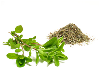 dried marjoram