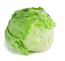 lettuce leaf