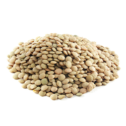 dried green lentils