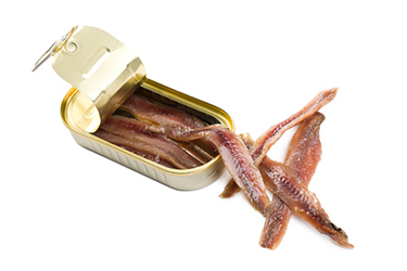 canned anchovies