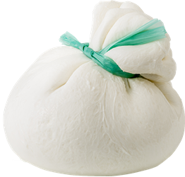 burrata